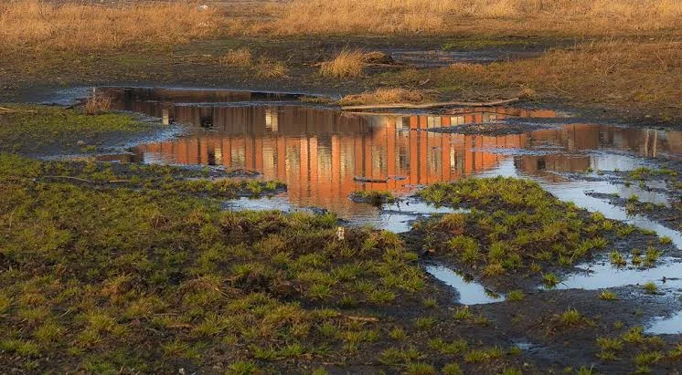 Standing wastewater and saturated ground caused by a septic system problem.